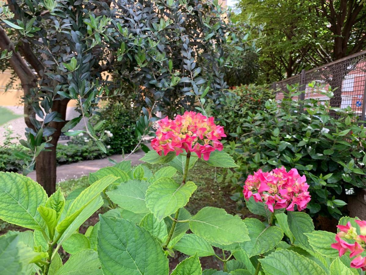 Casa Beraldini Διαμέρισμα Βερόνα Εξωτερικό φωτογραφία